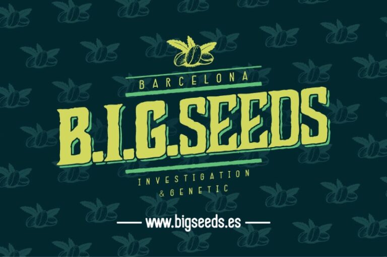 Logo-BIG-Seeds