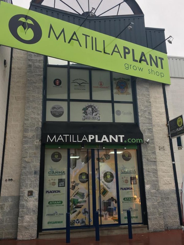 matillaplant1 matillaplant1