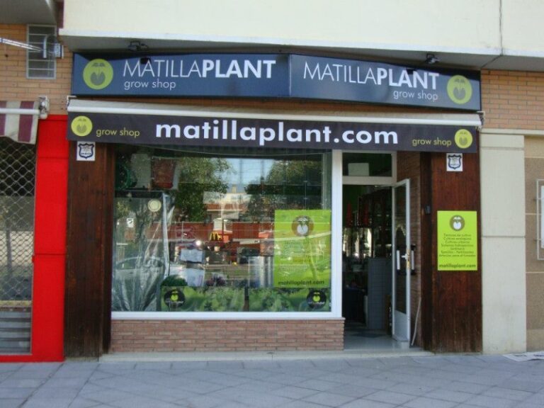 matillaplant2 matillaplant2