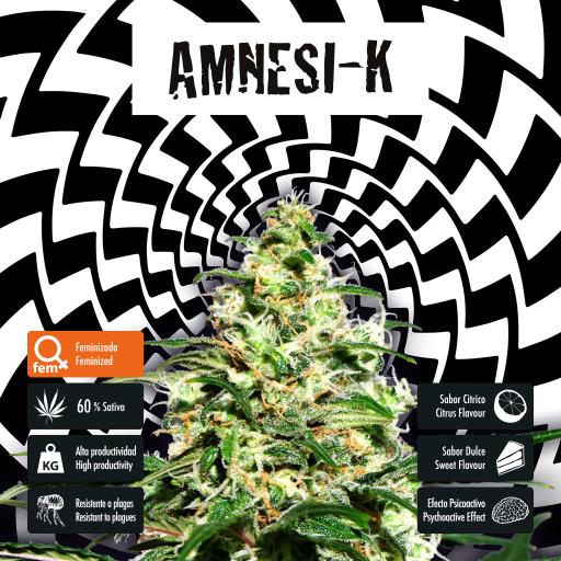 facebook-variedad-amnesi-k facebook-variedad-amnesi-k