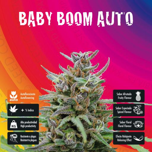 facebook-variedad-baby-boom-auto facebook-variedad-baby-boom-auto