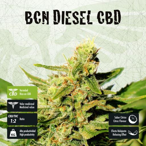 facebook-variedad-bcn-diesel-cbd facebook-variedad-bcn-diesel-cbd