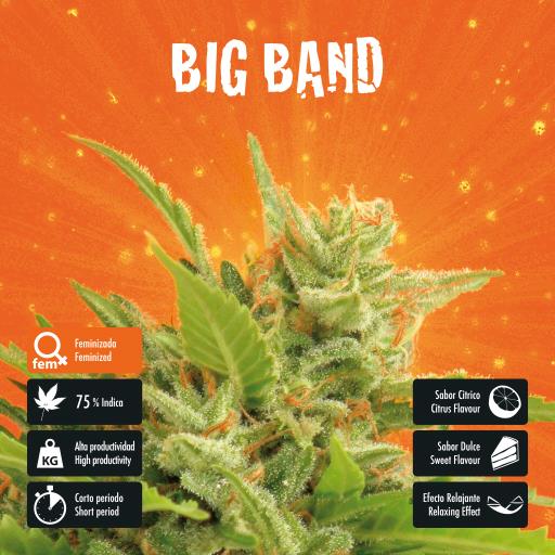 facebook-variedad-big-band facebook-variedad-big-band