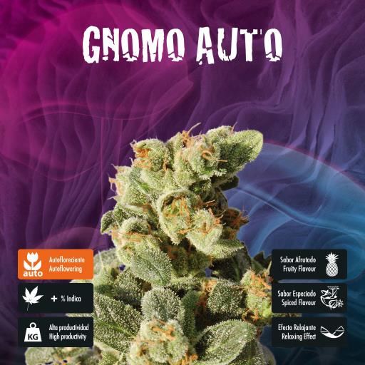 facebook-variedad-gnomo-auto facebook-variedad-gnomo-auto