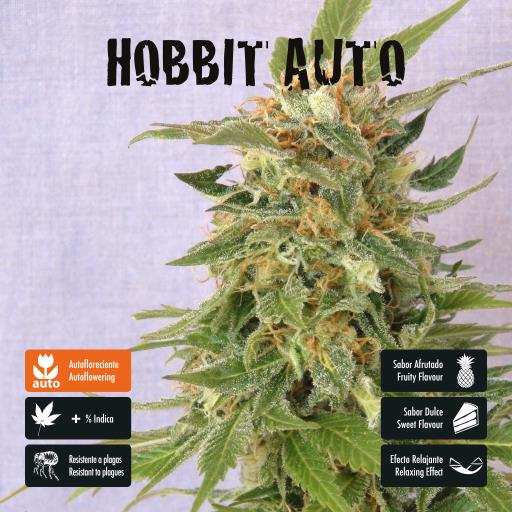 facebook-variedad-hobbit-auto facebook-variedad-hobbit-auto