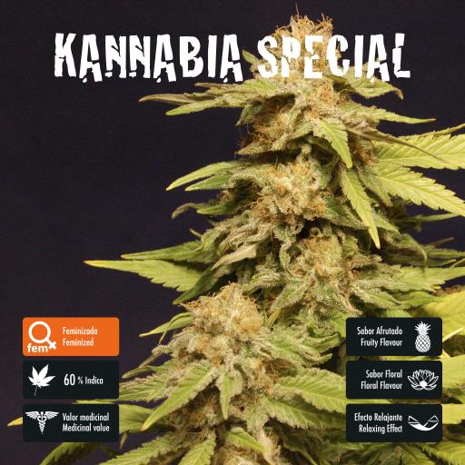 facebook-variedad-kannabia-special facebook-variedad-kannabia-special