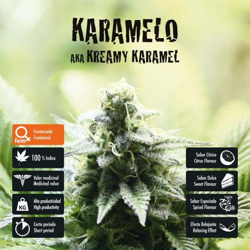 facebook-variedad-karamelo facebook-variedad-karamelo