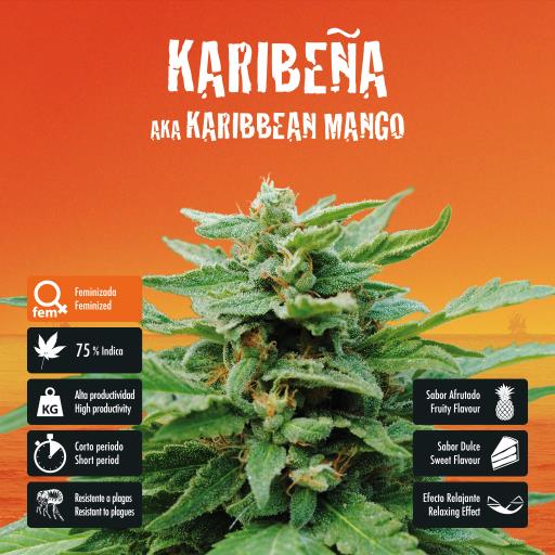 facebook-variedad-karibeña