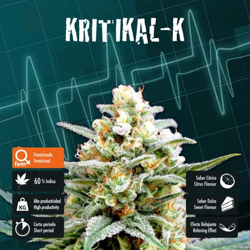 facebook-variedad-kritikal-k facebook-variedad-kritikal-k