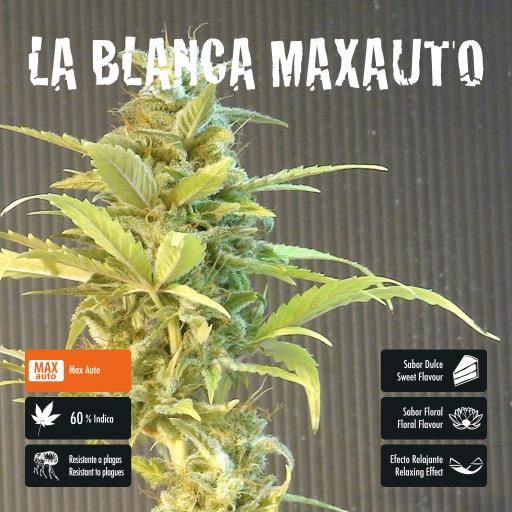 facebook-variedad-la-blanca-max facebook-variedad-la-blanca-max