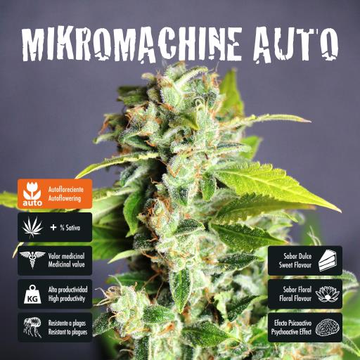 facebook-variedad-mikromachine-auto facebook-variedad-mikromachine-auto