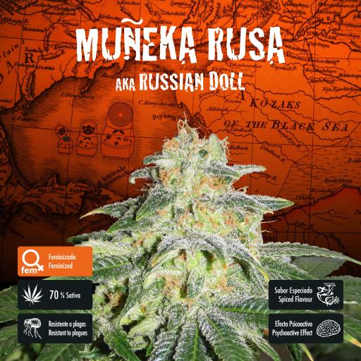 facebook-variedad-muñeka-rusa