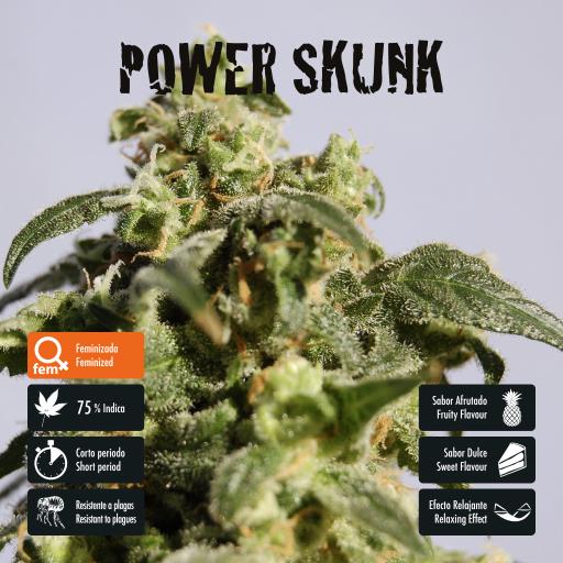 facebook-variedad-power-skunk facebook-variedad-power-skunk