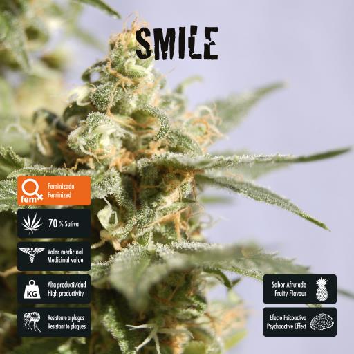 facebook-variedad-smile facebook-variedad-smile