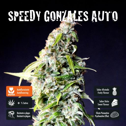 facebook-variedad-speedy-gonzales-auto facebook-variedad-speedy-gonzales-auto