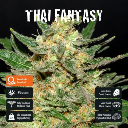 facebook-variedad-thai-fantasy facebook-variedad-thai-fantasy