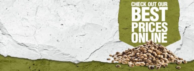 zambeza-seeds zambeza-seeds