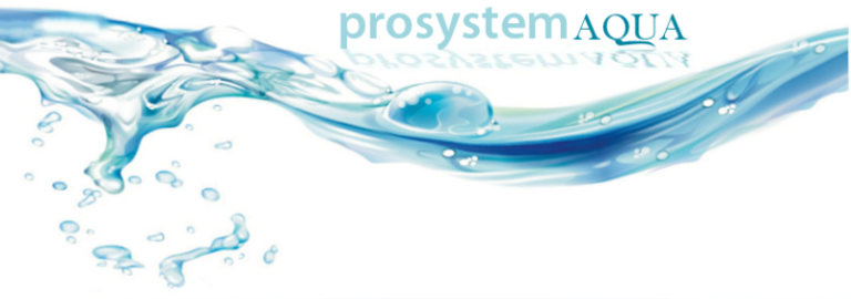 prosystem