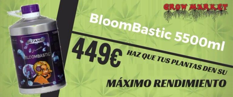 Banner-BloomBastic-OFERTON Banner-BloomBastic-OFERTON
