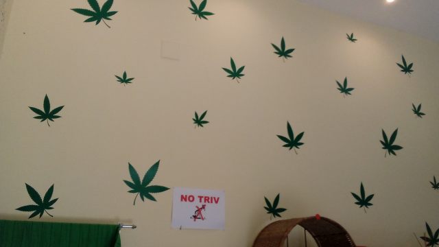 resized_20170309_130519 resized_20170309_130519