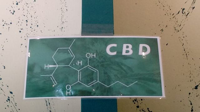 resized_20170309_130616 resized_20170309_130616