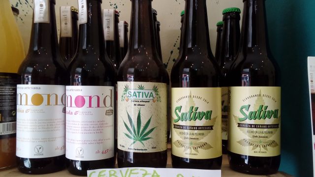 resized_20170309_133455 resized_20170309_133455