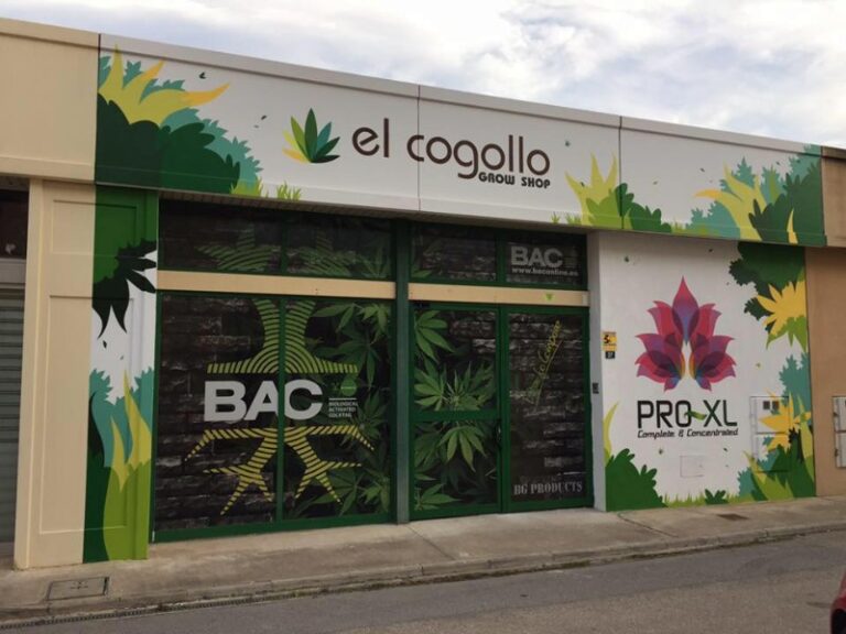 el-cogollo-alcoy el-cogollo-alcoy