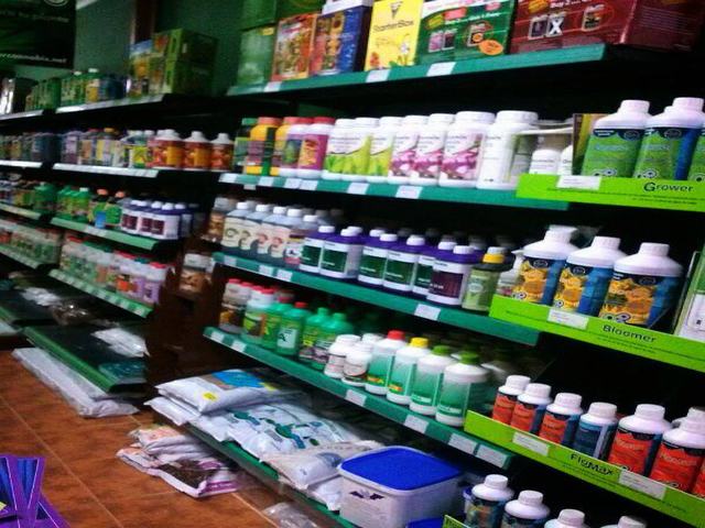 dr-cogollo-castellon-grow-shop-semillas-centro-de-jardineria-barato-castellon__1 dr-cogollo-castellon-grow-shop-semillas-centro-de-jardineria-barato-castellon__1