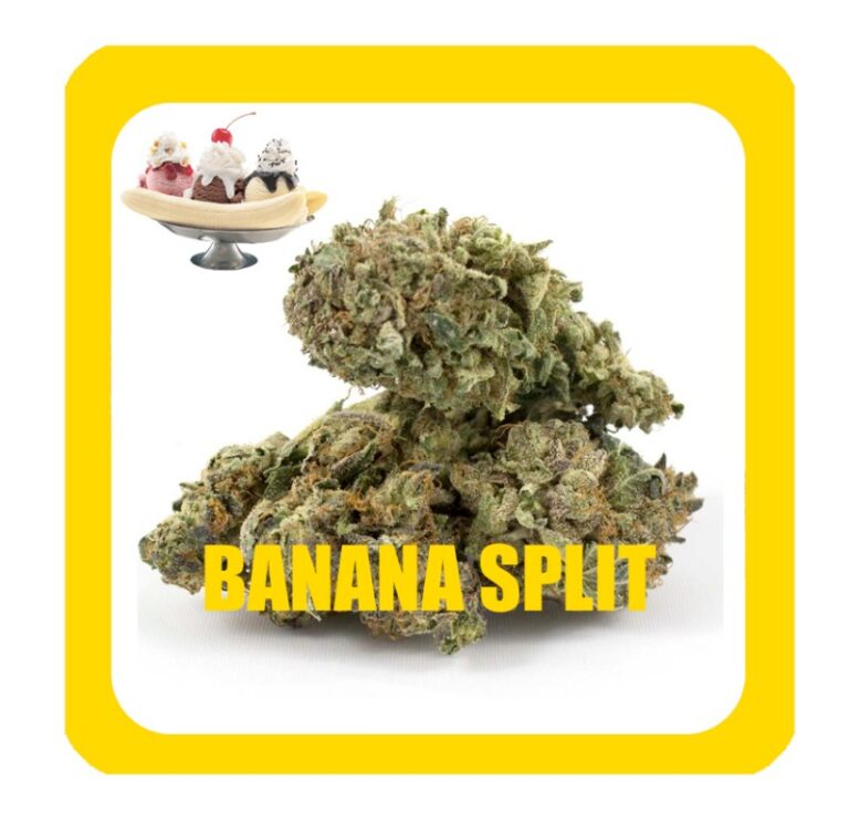 BANANA-SPLIT-CBD