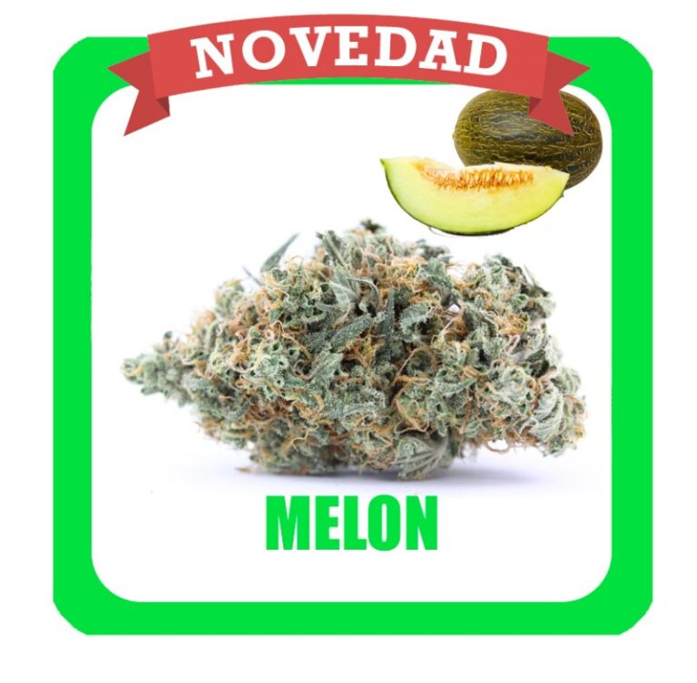 melon-novedad