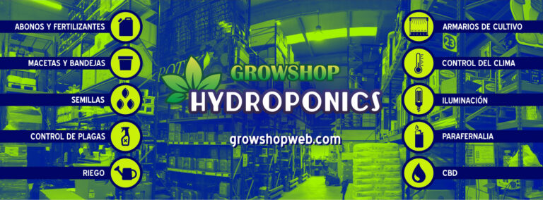 FACEBOOK portada 2019 768x284