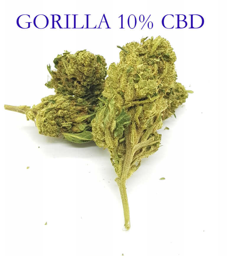 Gorilla11web 768x865