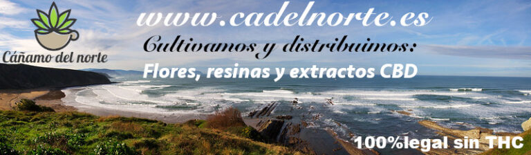 cadelnorte.es 768x224