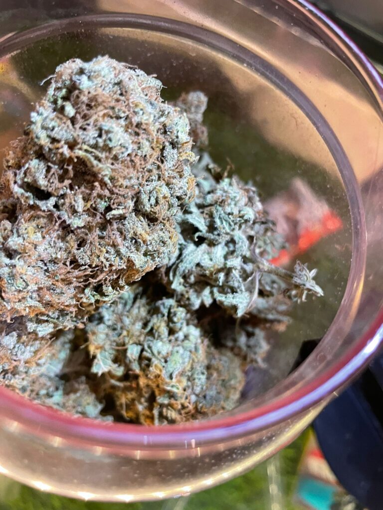 0DD07559 6200 4258 9073 93EB043E41FB 768x1024