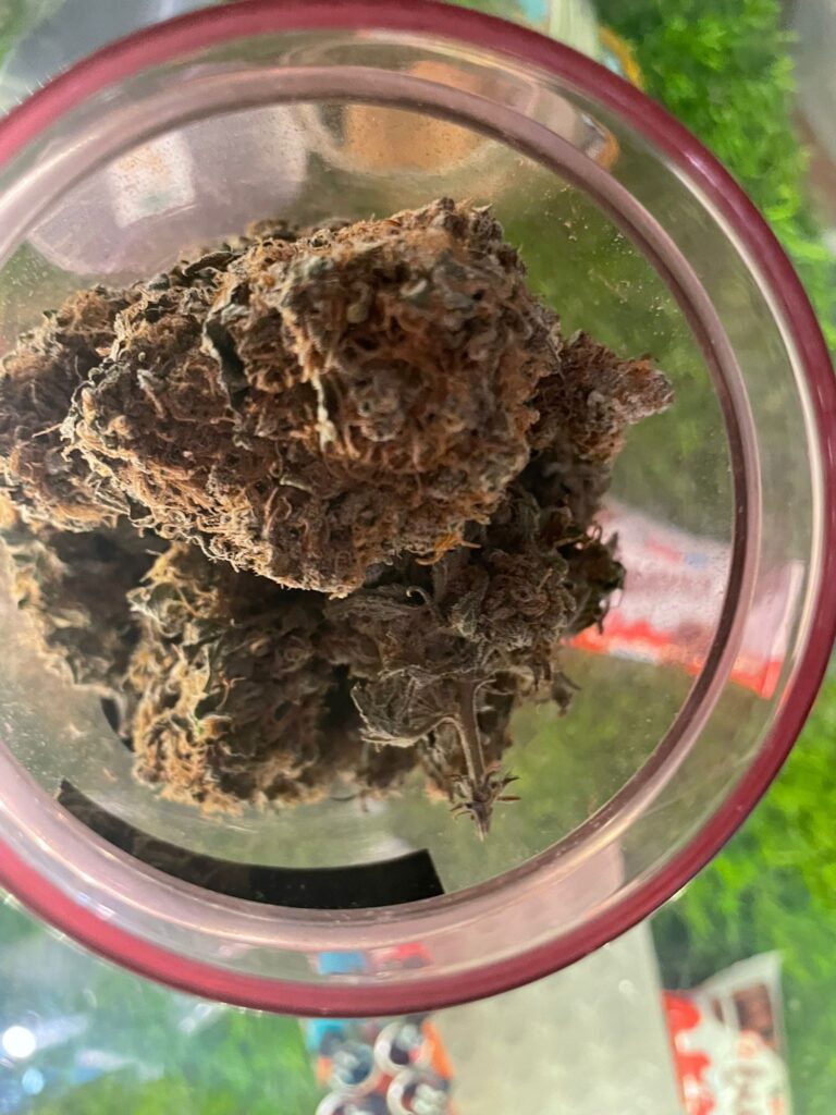 1C028396 F9ED 4CE2 B59D 10686ED38ECF 768x1024