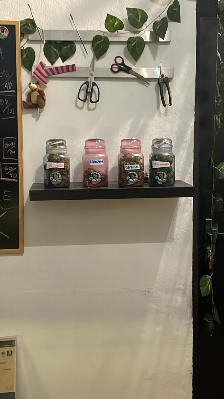 3CFD9DFC B8B8 4226 8A50 47980BDF91AB 768x1365