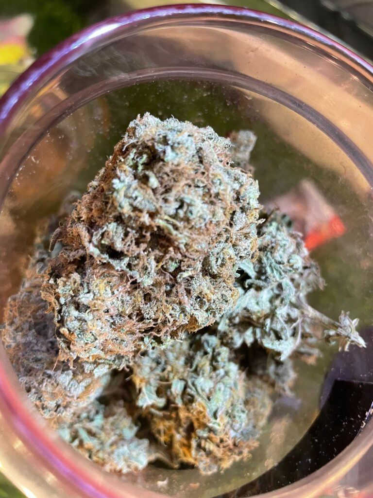 89E5A024 CE65 4122 9861 317790E524CA 768x1024