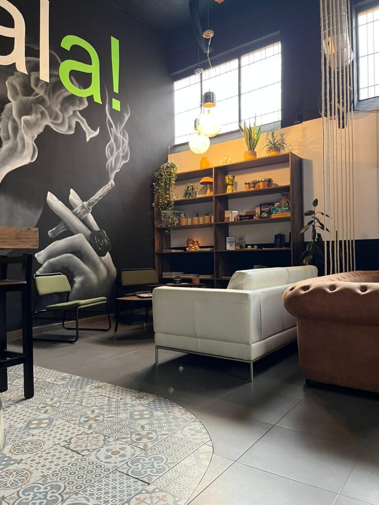 nueva AMALA sept23 1 768x1024