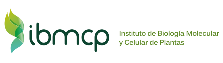 cropped logotipoIBMCP horizontal 768x219