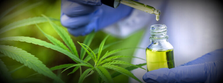 cannabis medicinal 01-002